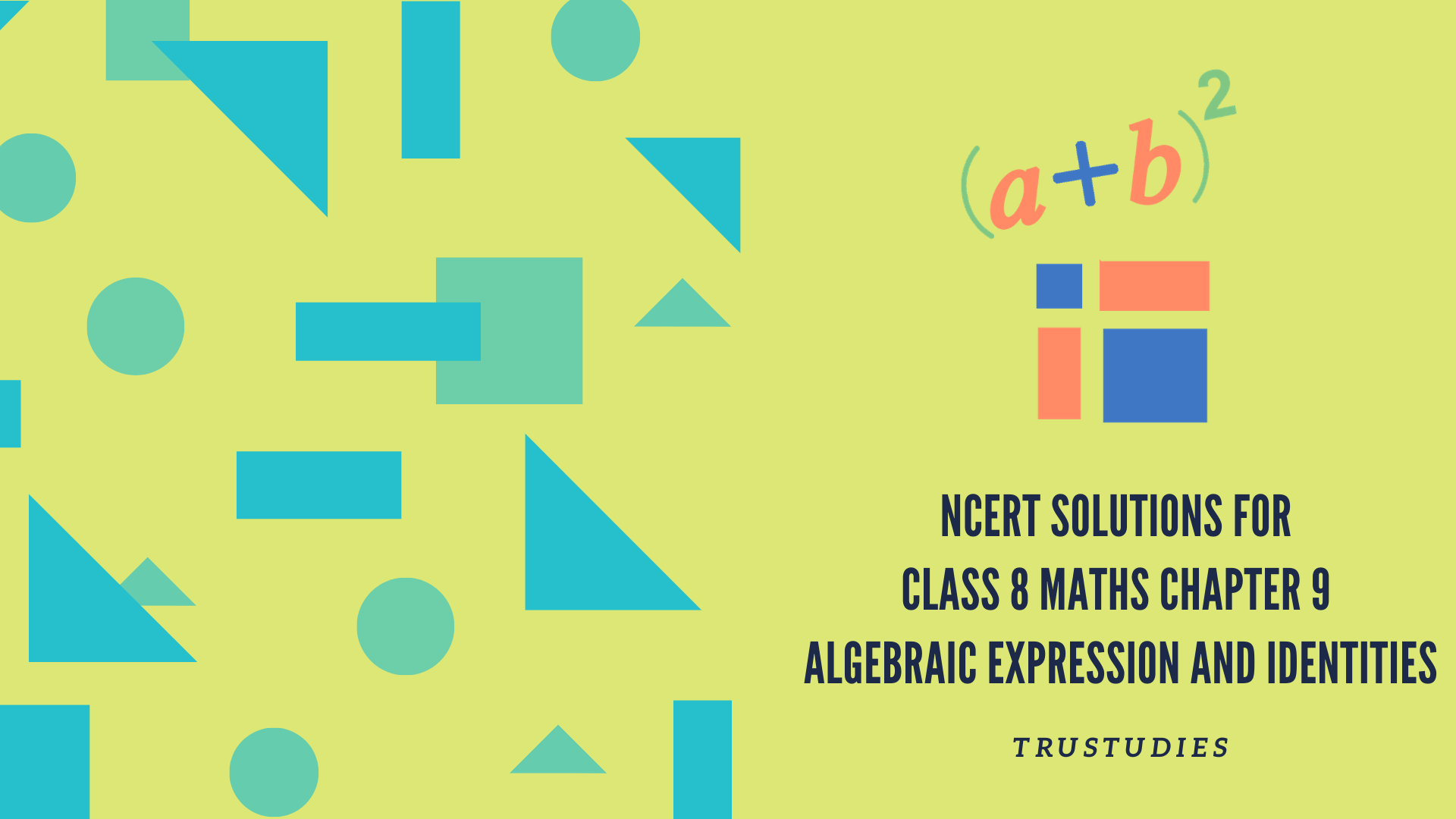 Class 8 Maths Chapter Algebraic Expressions Exercise 9 1 Solutions